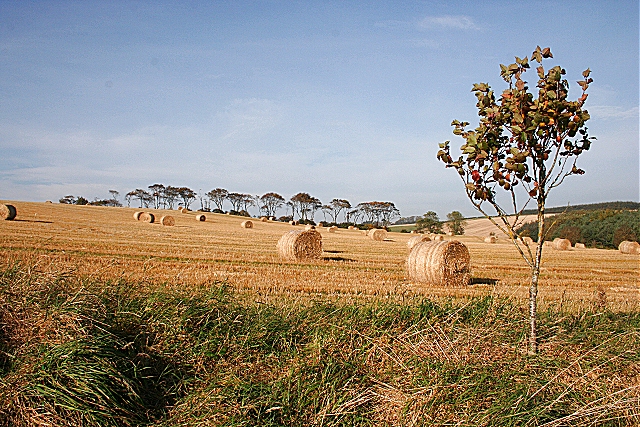Balmaud Distillery distillery site photograph