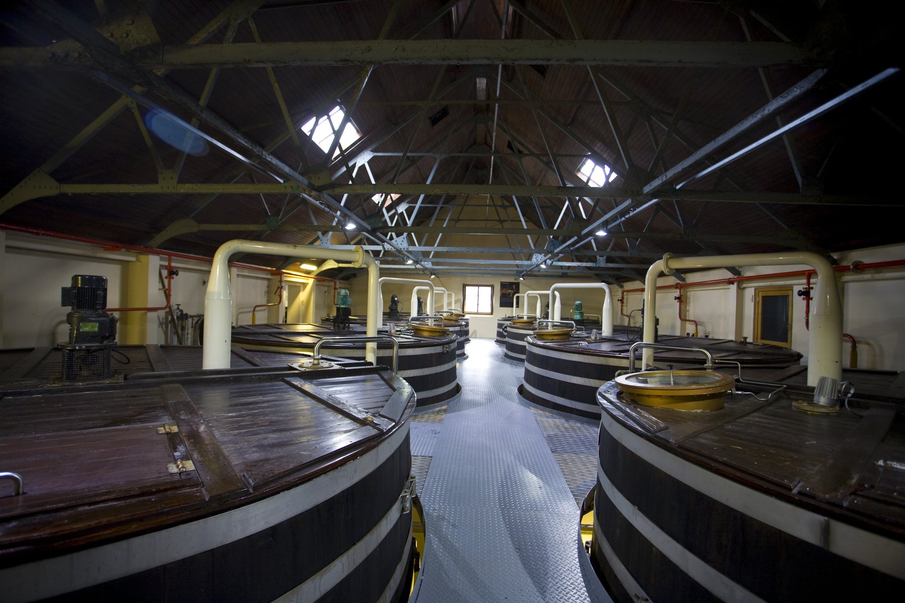 Rows of wooden washbacks inside Glenfiddich Distillery