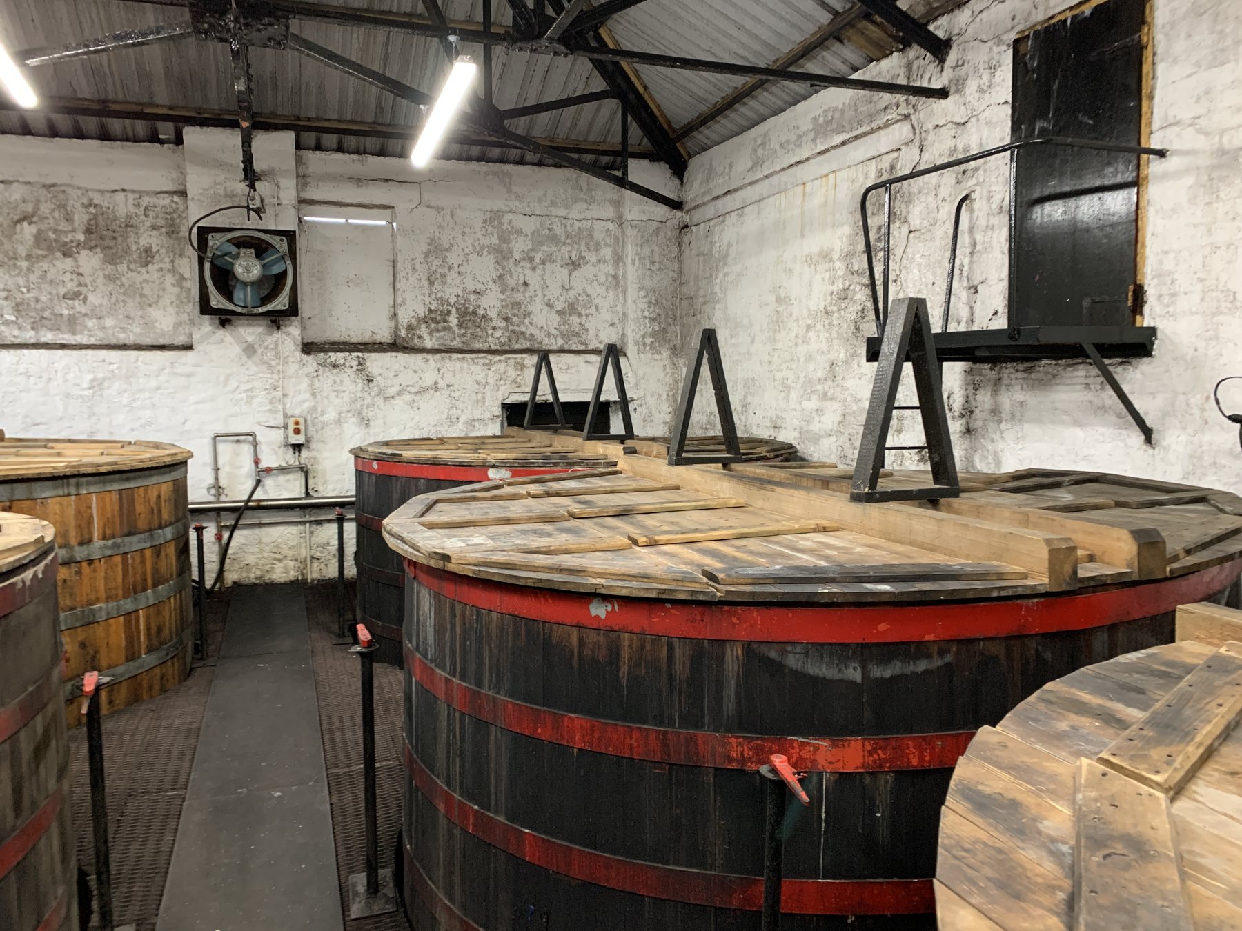 Wooden washbacks at Springbank Distillery
